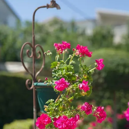 Marija&mile Apartment