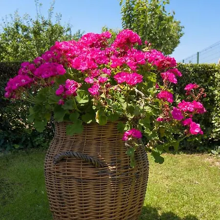 Marija&mile Apartment *