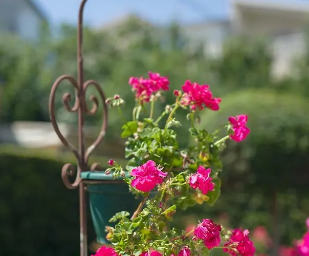 Marija&mile דירה