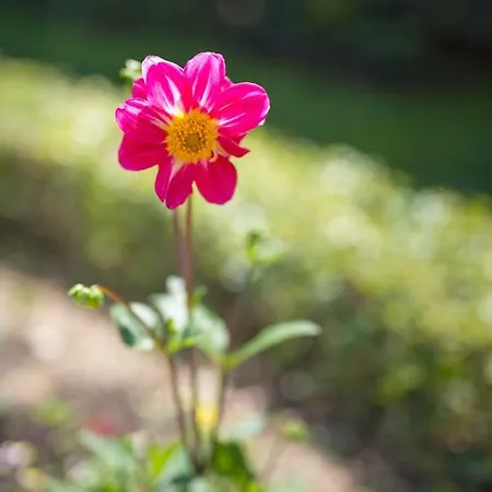 Marija&mile * 스플리트