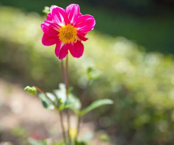 Marija&mile * 스플리트