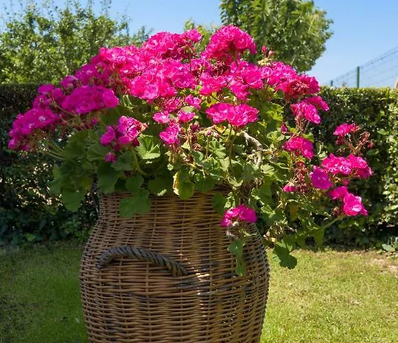 Marija&mile 아파트 *